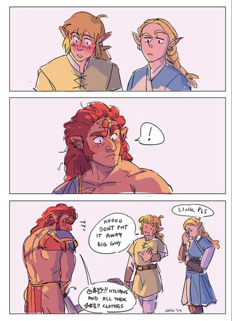 Legend Of Zelda Characters, Botw Zelda, Legend Of Zelda Memes, Zelda Funny, Girls Back, Link Zelda, Zelda Art, Anime Guys Shirtless, Legend Of Zelda Breath