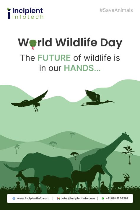 The quality of life for humans is going to get worse with the wildlife getting extinct. Let us save them for the #planet. Warm wishes on #WorldWildlifeDay. #WorldWildlifeDay2023 #HappyWorldWildlifeDay #wildlife #Nature #WWD2023 #Animals #SaveAnimals Save Wild Life Poster, Wildlife Graphic Design, World Wildlife Day, Life Slogans, Wildlife Protection, Wildlife Day, Save Wildlife, Nature Poster, Life Poster