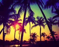 california beach Sweet Summertime, Summer 3, Summer Love, Summer Time, Palm Trees, We Heart It, Paradise, The Sun, Favorite Places