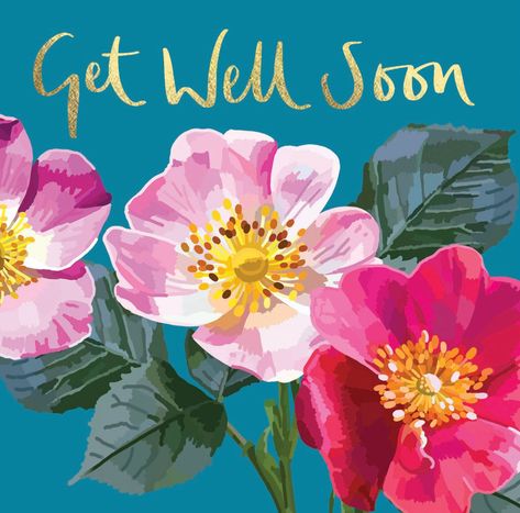 Seems like the dreaded lurgy is doing the rounds again. If you're feeling a little under the weather, get well soon! #getwellsooncard #floralcards #floralcardsuk #occasioncards #greetingscards Get Well Soon Flowers, Get Well Soon Messages, Get Well Messages, Feel Better Quotes, Get Well Quotes, Healing Thoughts, Happy Birthday Wishes Photos, Get Well Wishes, Happy Birthday Pictures