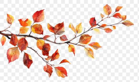 Branch Illustration, Fall Leaves Png, Flower Fall, Autumn Leaves Art, Leaves Png, Fall Vintage, Tree Png, Fall Flower, Autumn Tree