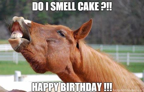 Hilarious Happy Birthday, Happy Birthday Puppy, Birthday Nephew, Birthday Horse, Horse Meme, Horse Memes, Happy Birthday Nephew, Cute Birthday Wishes, Birthday Verses