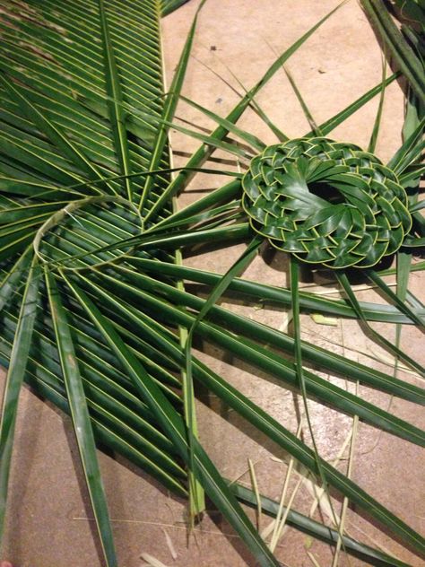 Palm frond hat making session for a friend Weaving Willow, Palm Cross, Weaving Basket, Palm Leaf Art, Palm Frond Art, Flax Weaving, Coconut Leaves, Flax Flowers, Willow Weaving