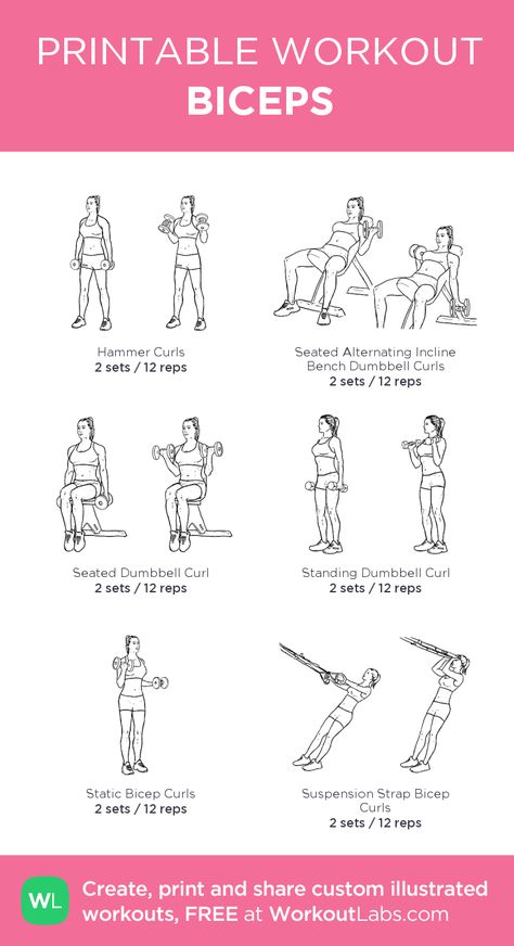 Biceps Workout That Will Have You Bursting Through Your Sleeves #bicepsworkout KNOW - BICEPS-I’ve always had a hard time building my biceps at the same rate as the rest of my physique, particularly the short head. My bis have always required extra attention in order to get them up to speed.-That being said there are ways to target each head of the bicep to give them the extra attention they need.-Save this post if you need a quick reminder on what exercises target each head of the bicep most. #b Mens Bicep Workout, Bicep Workout Gym, Big Biceps Workout, Back And Bicep Workout, Bicep And Tricep Workout, Workout Labs, Bicep Workout, Printable Workout, Gym Workout Plan For Women