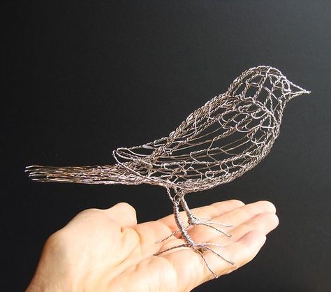 Sculptures Sur Fil, Chicken Wire Sculpture, Frit Painting, Chicken Wire Art, Chicken Wire Crafts, Wire Bird, Oriole Bird, Wire Art Sculpture, Willow Weaving