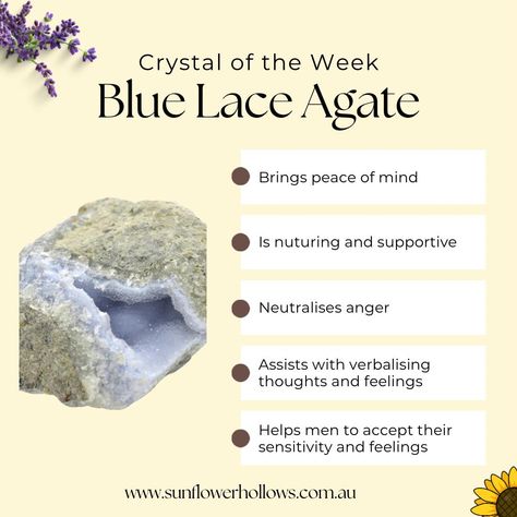 The crystal of the week is 🥁 BLUE LACE AGATE 🌻 Blue Lace Agate is said to 🌻 Be cooling and calming 🌻 Bring peace of mind 🌻 Be nurturing and supportive 🌻 Neutralise anger 🌻 Assist with verbalising thoughts and feelings 🌻 Help men to accept their sensitivity and feelings Among other things Associated with the throat chakra. Follow the link in our bio to find these on sunflowerhollows.com.au #brisbanecrystalshop #australiancrystalshop #crystalsforsaleaustralia #aussiecrystalbusiness #metap... Blue Agate Meaning, Crystal Magick, The Throat Chakra, Metaphysical Shop, Crystals For Sale, Throat Chakra, Blue Lace Agate, Blue Agate, Crystal Shop