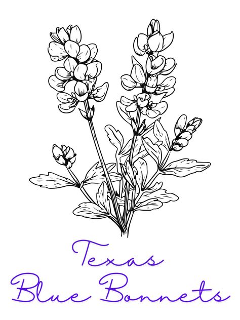 Texas Blue Bonnet Printable wall art. If you would like it to be personalize, please send me a message. Also if you have any issues, please reach out so I can get it fixed for you. Thank you so much! Girly Texas Tattoo, Blue Bonnet Drawing, Bluebonnet Drawing, Blue Bonnet Flower, Bluebonnet Tattoo, Biblical Tattoos, Texas Wildflowers, Texas Tattoos, Bouquet Tattoo