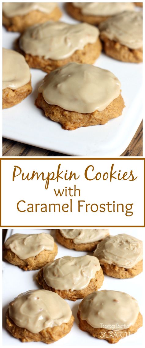 Melt-in-your-mouth Pumpkin Cookies with Caramel Frosting are my all time FAVORITE cookies! Recipe on http://TastesBetterFromScratch.com Cookies With Caramel, Soft Pumpkin Cookies, Weight Watcher Desserts, Caramel Frosting, Low Carb Dessert, Caramel Cookies, Frosting Recipe, Pumpkin Cupcakes, Brownie Cookies