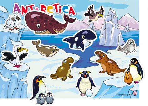 Antarctica Cut and Paste Landscape Photo Polar Habitat, Shapes Preschool Printables, Outside Activities For Kids, Penguin Facts, Antarctic Animals, Polar Bear Craft, Animal Habitat, Animal Worksheets, Shapes Preschool