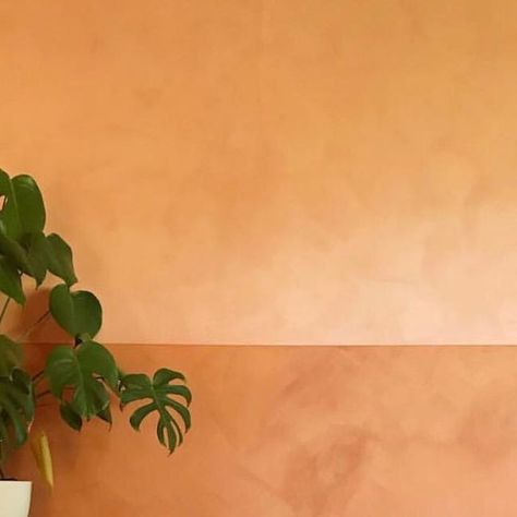 Portola Paints on Instagram: "🧡F💛R🧡I💛D🧡A💛Y🧡  El Coyote — Potters Clay — Lime Wash 🔥 @ruemagazine / @katmceachern  #LimeWashEverything #portolapaints #limewash #ruemagazine #decor #interiordesign" Wall Lime Wash, Lime Wash Kitchen Walls, Olive Limewash, Clay Paint Wall, Terracotta Laundry, Terra Cotta Limewash, Terracotta Feature Wall, Terracotta Limewash, Fun Wall Paint Ideas