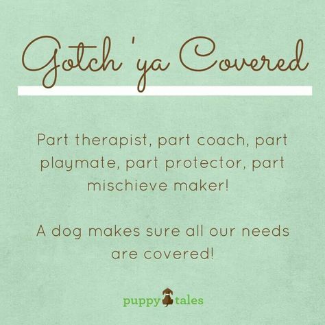 Gotcha Gotcha Day Quotes, Dog Gotcha Day, Happy Dog Quotes, Puppy Quotes, Gotcha Day, Im Crazy, Now Open, Day Quotes, Dog Quotes