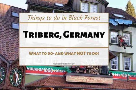 What to do in Triberg! 6 essential things to see (and what NOT to do!) Motorhome Travels, Hohenzollern Castle, Black Forest Germany, Germany Vacation, Itinerary Planner, The Black Forest, Road Trip Hacks, Group Travel, World Records