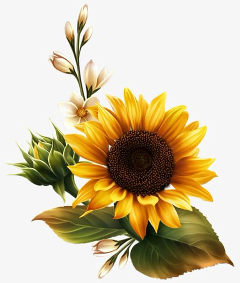 one,to the sun,flowers,sunflower,yellow,green leaves,buds,sun,green,leaves,picture clipart,sunny clipart 자작나무 그림, Sunflower Drawing, Sunflower Pictures, Sunflower Tattoos, Sunflower Wallpaper, Hur Man Målar, 수채화 그림, Sunflower Art, Sunflower Decor