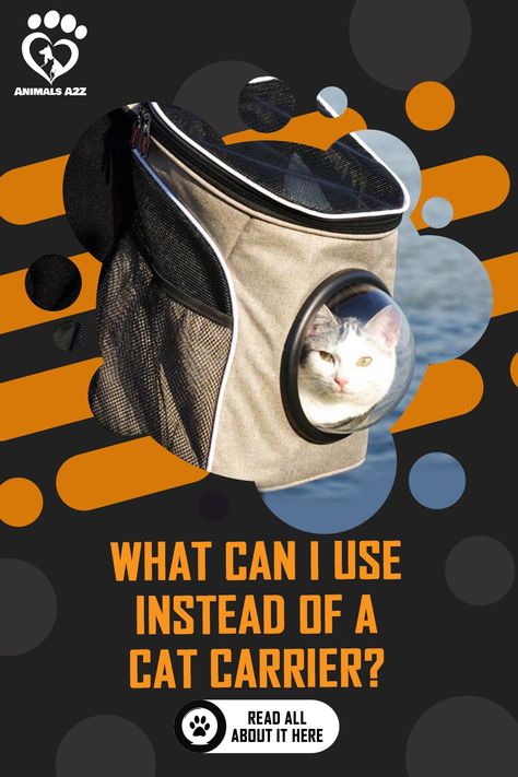 Alternatives to a cat carrier: Cardboard boxLaundry basket Tota bag It’s always a good idea to use a cat carrier whenever you need to take your cat so... Diy Cat Carrier Bag, Cat Carrier Bag Diy Free Pattern, Cat Carrier Diy, Pet Carrier Diy, Cat Illnesses, Cat Carrier Bag, Cat Ages, Owning A Cat, Cat Travel