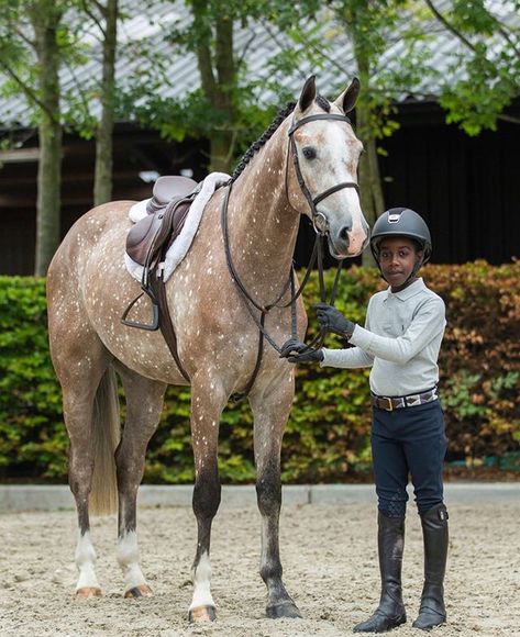 Hunter Jumper Outfits, Jumper Outfits, Horse Inspiration, English Riding, Hunter Jumper, Horse Blankets, Horse Jumping, Equestrian Life, Horse Life