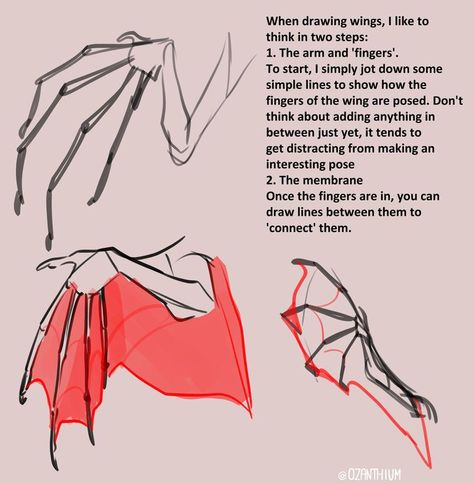 Dragon Anatomy, Dragon Wing, Internet Art, Body Drawing Tutorial, Paleo Art, Sketches Tutorial, Dragon Pictures, Dragon Wings, Dragon Drawing