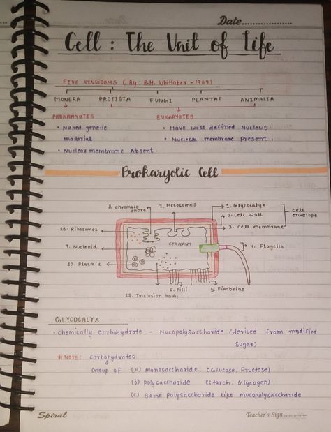 Ncert Class 9 Science Notes, Cell Notes Biology Class 9 Aesthetic, The Fundamental Unit Of Life Notes, Fundamental Unit Of Life Notes Class 9, Class 9 Science Notes Aesthetic, Cell Wall Notes, Handwritten Notes School, Cell The Unit Of Life Notes, Class 9 Science Notes