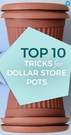 Here Are 10 Gorgeous Designer Tricks for Your Dollar Store Pots - You know these cheap Dollar Store flower pots? Instead of plopping your plan Cheap Flower Pots, Diy Blanket Ladder, Planting Pots, Store Hacks, Dollar Store Hacks, Plastic Flower Pots, Dollar Store Organizing, Diy Headboards, Diy Solar