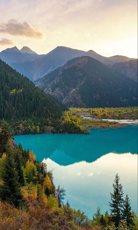 Every year I come here to shoot autumn landscapes. And every year it's beautiful in a different way. This time it happened like this. I love the combination of golden leaves with green firs and turquoise water! World Wallpaper, Beautiful Images Nature, Nature Aesthetic, Bolivia, Beautiful Images, Nature Photography, Lake, Travel, Photography