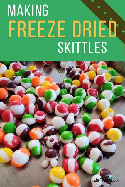 Learn how to make freeze dried skittles in your Harvest Right machine. How To Dehydrate Candy, How Do You Freeze Dry Candy, Freeze Dried Lemons, Freeze Dry Machine, Best Things To Freeze Dry, Homemade Freeze Dried Candy, Freeze Dried Candy In Air Fryer, Dehydrated Skittles In Air Fryer, Freeze Drying Ideas