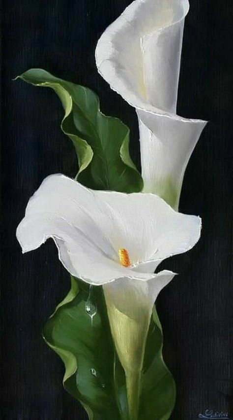 School Drawings, Seahorse Art, Calla Lily Flowers, Beautiful Flower Drawings, Cross Embroidery, Flower Drawing Tutorials, Lily Painting, Embroidered Cross, Lotus Art