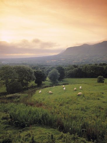 Ireland Aesthetic, Sligo Ireland, County Sligo, Irish Country, Framed Photos, Ireland Scotland, Emerald Isle, Ireland Travel, English Countryside