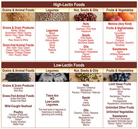 Lectin Foods, Low Lectin Foods, What Are Lectins, Dr Grundy, Gundry Diet, Lectin Free Foods, Nightshade Vegetables, Lectin Free Diet, Dr Gundry