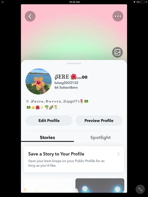 Snapchat Profile Ideas, Public Profile Snap Ideas, Snapchat Public Profile Bio Ideas, Snapchat Public Profile, Snapchat Profile, Eyes On The Prize, Edit Profile, June 2024, Public Profile