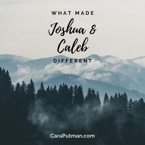 Joshua Bible, Joshua And Caleb, A Brave New World, Book Of Joshua, Trust Gods Plan, Invisible Hand, Bible Characters, Brave New World, Bible Knowledge