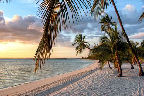 Andros Island Bahamas, Bahamas Travel Guide, Bahamas Travel, Bahamas Island, Family Beach Trip, Paris Travel Guide, Travel Club, My Peace, Fresh Seafood