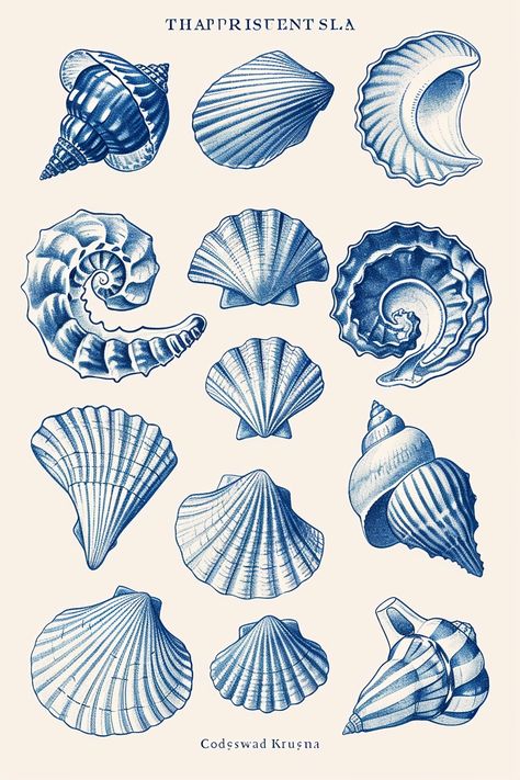 Art showcase directed by ThetaCursed, License: CC BY-NC 4.0 Beach Wall Prints, Decoration Theme Marin, Types Of Seashells, Shell Illustration, Tupac Art, Blue Seashell, Wave Drawing, Sea Creatures Art, Kids Room Murals