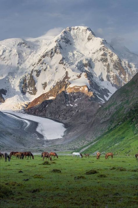 Hiking in Kyrgyzstan: The 21 best Jyrgalan and Karakol Trekking Trails 24 Silk Road Aesthetic, Central Asia Aesthetic, Kyrgyzstan Photography, Nomadic Aesthetic, Kyrgyzstan Aesthetic, Karakol Kyrgyzstan, Adventurer Aesthetic, Countries Of Asia, Inktober 2024