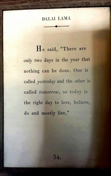 Only two days that nothing can be done. Yesterday and Tomorrow. Seize The Day, Dalai Lama, Wonderful Words, Quotable Quotes, Simple Living, The Words, Great Quotes, Namaste, Inspirational Words