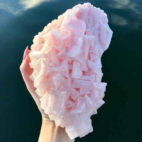 𝐒𝐡𝐞'𝐬 𝐓𝐡𝐞 𝐒𝐞𝐚 on Instagram: “🚫 SOLD 🚫 NEW #PinkHalite 💗 shesthesea.com 🛒” Halite Crystals, Pink Halite, Cool Rocks, Minerals And Gemstones, Shiny Things, Crystal Sphere, Crystal Gems, Crystals Minerals, Minerals Crystals