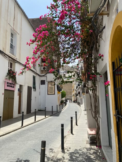 Ibiza stad, spanje, zomer, vakantie, fotografie, inspiratie, instagram, insta story, old town, pink flowers, bloemen, aestetic Ibiza Apartment, Ibiza Aesthetic, Ibiza Old Town, Tasha Ghouri, Ibiza Formentera, Ibiza Town, Mediterranean Summer, Ibiza Spain, Brand Shoot