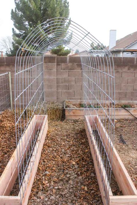 Building A Trellis, Moderne Have, Raised Garden Bed Plans, Garden Boxes Diy, Diy Garden Trellis, Garden Boxes Raised, Diy Trellis, Diy Raised Garden, Garden Vines