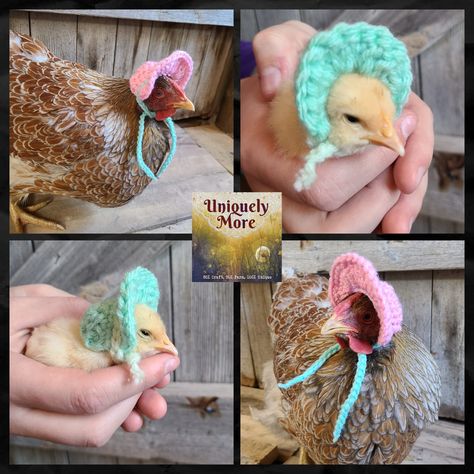 Crochet Pattern / Sunday Bonnet for Chickens / Bonnet for | Etsy Chicken Pin Ideas Diy, Chicken In Clothes, Crocheted Chicken Hat, Crochet For Chickens, Crochet Chicken Bonnet, Chicken Bonnet Crochet Pattern, Crochet Chicken Accessories, Chicken Hats For Chickens, Crochet Hat For Chicken