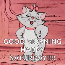 Happy Saturday Gif, Saturday Gif, Happy Saturday Quotes, Fancy Cat, Good Morning Happy Saturday, Saturday Quotes, Good Morning Saturday, Easter Pictures, Fancy Cats