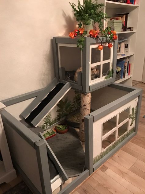 Bunny Habitats Indoor, Bunny Diy House, Rabbit Corner Ideas, Bunny Corner Ideas, Bunny House Diy, Cute Bunny Cage Ideas, Rabbit House Diy, Diy Rabbit Hutch Indoor, Bunny Habitat Indoor