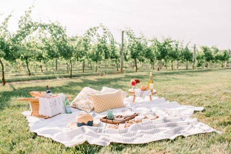 Photography: http://www.sarahpascutti.com/ | Read More: https://www.stylemepretty.com/2016/09/24/the-sweetest-picnic-proposal/ Engagement Set Up Ideas, Proposal Photoshoot Ideas, Proposal Ideas Simple, Surprise Proposal Photoshoot, 21st Birthday Party Themes, Picnic Proposal, Pop Up Picnic, Proposal Day, Tie Up Espadrilles