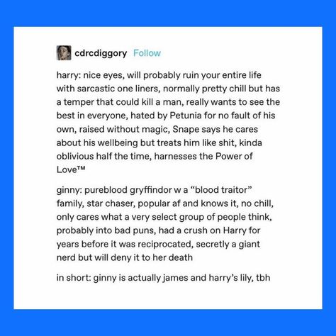 Golden Trio Headcanons, Roonil Wazlib, Sarcastic One Liners, Writer Prompts, The Golden Trio, Weasley Family, Harry Potter New, Hp Universe, Harry Potter Comics