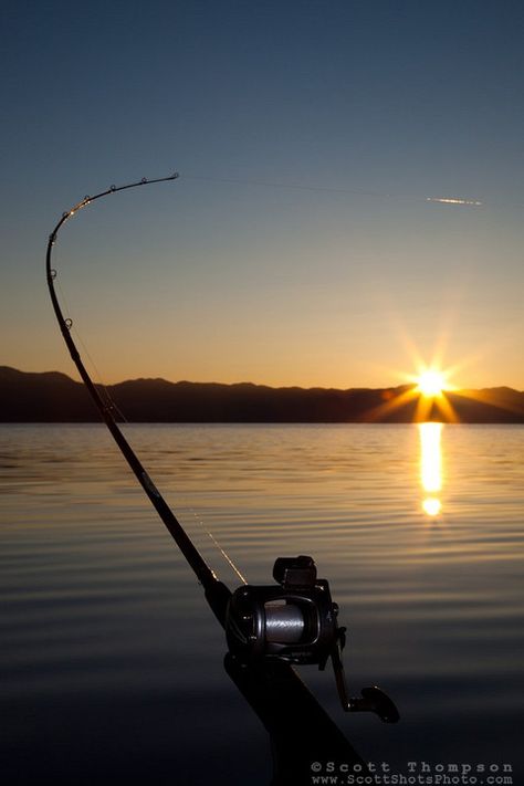 i will catch a fish this summer Trolling Fishing, Fishing Photography, Fishing Pictures, Pike Fishing, Fishing Quotes, Lake Fishing, Fishing Pole, Gone Fishing, Going Fishing