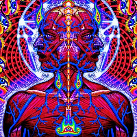 Tool Lateralus, Tool Band, Band, The World, Art