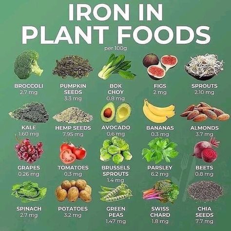 Foods With Iron, Foods High In Iron, Food Health Benefits, Brown Bread, Iron Rich Foods, Healing Food, Food Facts, Plant Based Protein, Plant Food