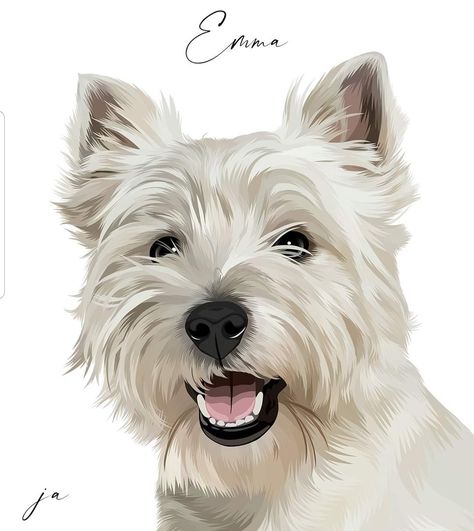 Westie Tattoo, Tattoo Perro, Dog Vector, Westie Dogs, Plant Drawing, White Terrier, West Highland White Terrier, West Highland Terrier, Dog Drawing