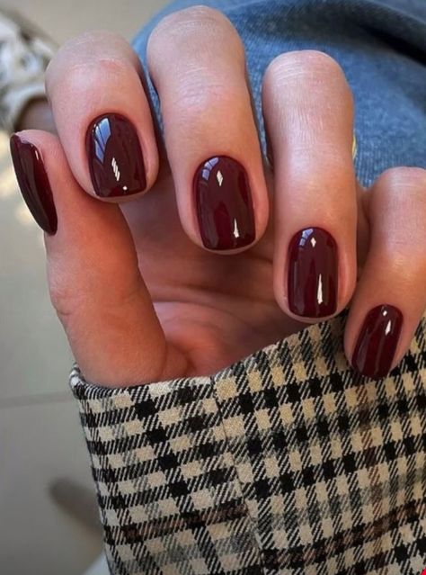 Dark Red Brown Nail Polish, Shellac Nails Fall Autumn, Deep Merlot Nails, Burgundy Biab Nails, Dark Red Squoval Nails, Maroon Shellac Nails, Deep Red Short Nails, Mulled Wine Nails, Professional Acrylic Nails For Work