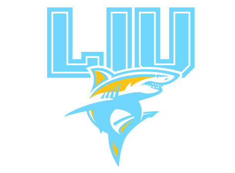 Long Island University Men’s Hockey: Can They Pull It Off? Long Island University Brooklyn, Long Island University, Sacred Heart University, College Hockey, University Of North Dakota, Northeast Region, Team Success, College Board, Board Inspiration