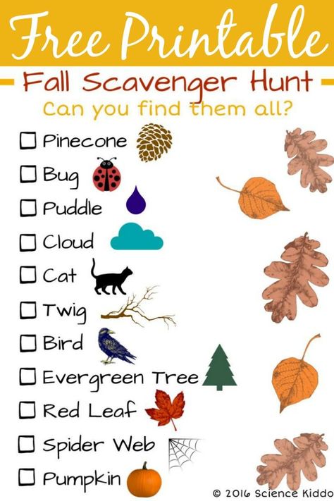 Try this fun and free printable fall nature scavenger hunt for kids! Grab a bucket and a clipboard and enjoy the autumn weather while doing this outside scavenger hunt, designed for kids ages 3-10. Fall Nature Scavenger Hunt, Nature Scavenger Hunt For Kids, Fall Scavenger Hunt, Nature Scavenger Hunt, Scavenger Hunt Printable, Thanksgiving Games For Kids, Fall Preschool Activities, Fall Nature, Free Nature