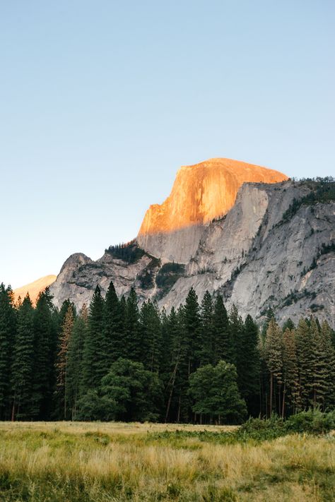 Mama Earth, Theme Nature, Montage Photo, Photography Landscape, Into The Wild, Colorful Landscape, Pine Trees, Disney Funny, Half Dome