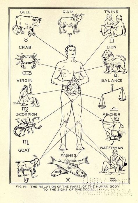 Vedic Astrology Charts, Learn Physics, Astrology Charts, Space Words, Jyotish Astrology, Zodiac Couples, Occult Science, Money Blocks, African Spirituality